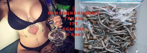 Альфа ПВП Алексин